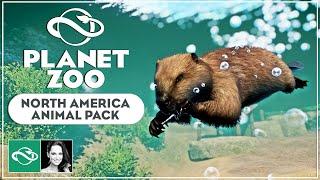 ▶ Planet Zoo North America Animal Pack | All animals | Overview |