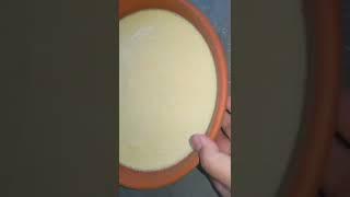 Bangladeshi mishti DOI(sweet yougrt) recipe #short