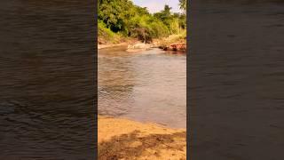 Running Water ! Peaceful Nature ! #shorts #ytshorts #trends #trending #trendingshorts #water