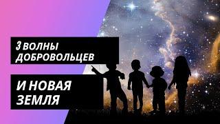 Три волны добровольцев и Новая Земля