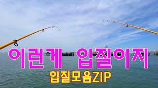 원투낚시 입질 모음.zip  ㅣ 숭어낚시 gray mullet fishing, bite moments