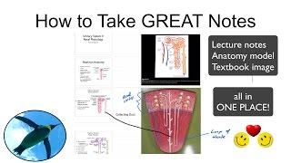 How to Take GREAT Notes