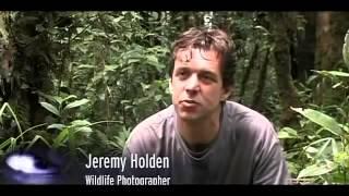 The Humanoid Ape Creature known as the Orang Pendek british documentary Part 1