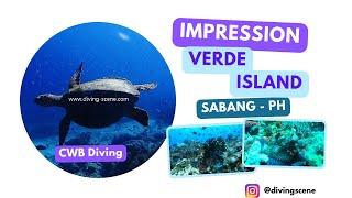 Verde Island Amazing Dive Site - Sabang, Puerto Galera Philippines Compilation