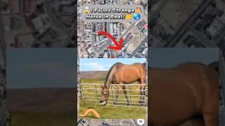 I Found Creepy Horse in Real Life On Google Earth & Google Maps!#shorts#YouTube short#viral video