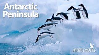 Antarctic Peninsula Photography Tour