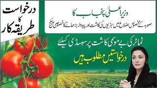 Subsidy Scheme for Vegetables (Tomatoes) in 7 Districts of Punjab