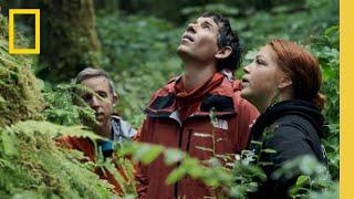 Alex Honnold and Tommy Caldwell visit the Tongass National Forest | The Devil's Climb