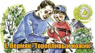 Е. Пермяк "Торопливый ножик"