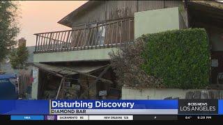 Dead Animals, Cremated Remains Found In Hoarder's Diamond Bar Home