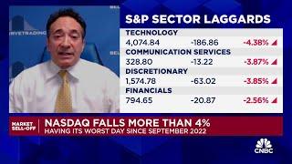 All the indices are likely to decline 25% before it's all done, says Bell Curve's Bill Strazzullo