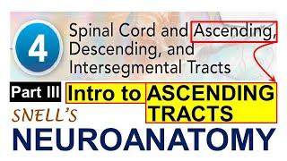 (Chp#4C) ASCENDING TRACTS (Intro and Organization) | NeuroAnatomy Chp4 PartC | Snell's NeuroAnatomy