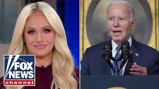 Tomi Lahren: This is all the Democrats have