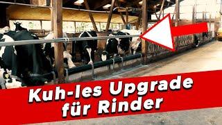 Rinder reagieren kuh-l auf neues Upgrade - My KuhTube Film 600