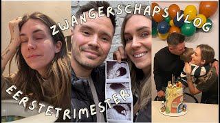 EERSTE TRIMESTER UPDATE  & NOX 3 JAAR / ZWANGERSCHAPS VLOG 2