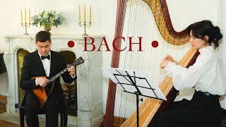 I. S. Bach - Siciliano, BWV 1031 (balalaika & harp)