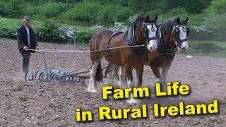 Life on the Farm in Rural Ireland - Videos of Irish Farming Life