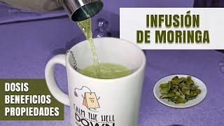 Infusión de Moringa | beneficios, dosis y cómo prepararla | un té con Daniela