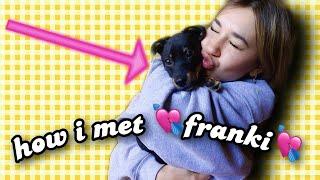 I GOT A PUPPY! *Story Time*