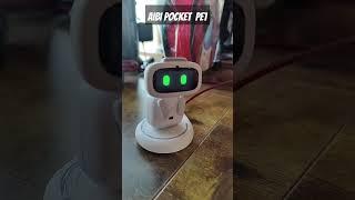 AIBI Robot - AIBI Pocket Pet Welcome home #robot #robotic #aibi #aibipocketrobot #livingai