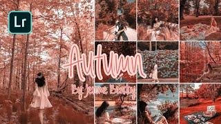 Autumn Lightroom Preset Tutorial | How to edit Autumn Lightroom Preset | + Free DNG | Jerome Bendoy