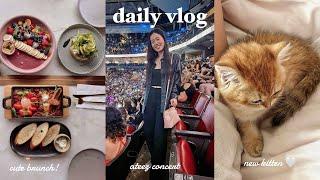 daily vlog: cute brunch spot, ateez concert in toronto, new family member 