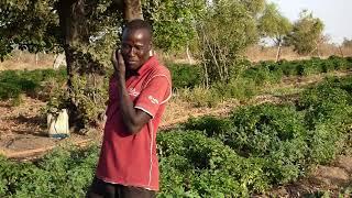 A Father & Son Joint Force - Galamsey To Pepper Farming