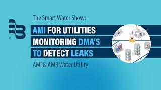 AMI for Utilities Monitoring DMA's to Detect Leaks  | The Smart Water Show - Ep 9