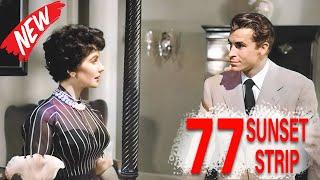 77 Sunset Strip Full Episodes 2024  Private Detective Drama Series  Popular American Tv Show