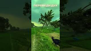 ПЕРЕВЕДИ ДУХ#сила #мотивация #мышление #рек #успех #бизнес #дисциплина #путь