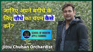 बैगीचे के लिए पौधे का चयन कैसे करें | How to select plant for Orchard | Jittu Chauhan Orchadist