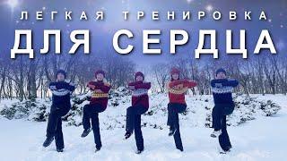 ЛЕГКАЯ ТРЕНИРОВКА ДЛЯ СЕРДЕЧНО-СОСУДИСТОЙ СИСТЕМЫ