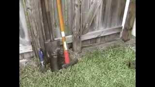 How to stop dogs digging under your fence, gate, or garden