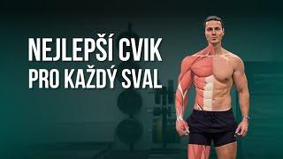 NEJLEPŠÍ CVIK PRO KAŽDÝ SVAL