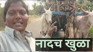 तीन-चार टन घेऊन रस्त्यानी खन खन चालतो आपला बैल ‍#vlog #manishahajare