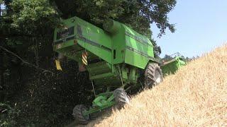 Stop work  it is too wet |  Wheat Harvest in Switzerland