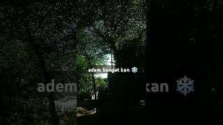 adem banget masaallah ️ #lombok #mataram #dasanagung #hariini