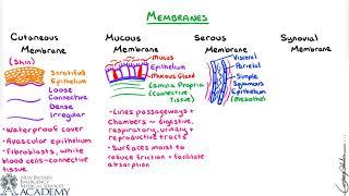 Membranes