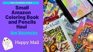 Small Amazon Adult Coloring Book and Pencils Haul | Christmas | Dover | Teresa Goodridge