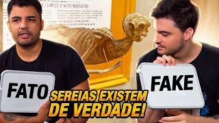 DESAFIO: FATO OU FAKE?