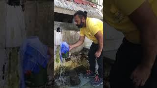 Purest Underground Water Experience | Nature's Chill rejuvenation #kinnaur #wishyvish #water #shorts