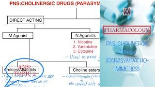 ANS: CHOLINERGIC DRUGS (PARASYMPATHOMIMETICS)//Pharmacology revision videos series