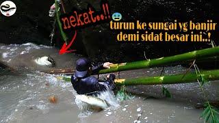 Nekat ! turun ke sungai saat banjir besar datang demi sidat ini • traditional eel fishing