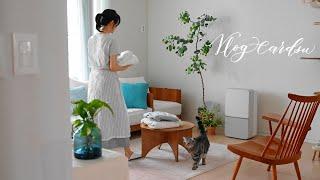 장마철은 이렇게 보내봐요! 날씨 타는 사람을 위한 스마트한 살림 방법 / ft. 위닉스 뽀송 인버터 22L 제습기