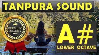 A# Tanpura | A Sharp Tanpura Scale (Lower Octave 5th Black) High Quality Tanpura