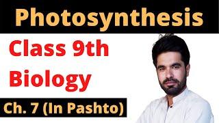 Photosynthesis in pashto || Home of biology