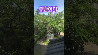 성격도.가지가지..신부님.가라사대."ZR발광을하였습니다"ᆢᆢ