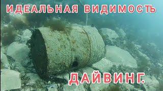 Богатства японского моря. Дайвинг Владивосток. Дайвинг в Приморье.