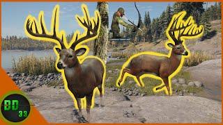 The Legendary Diamond Whitetail LAKE! Call Of The Wild