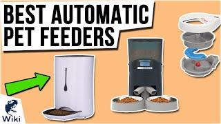 10 Best Automatic Pet Feeders 2021